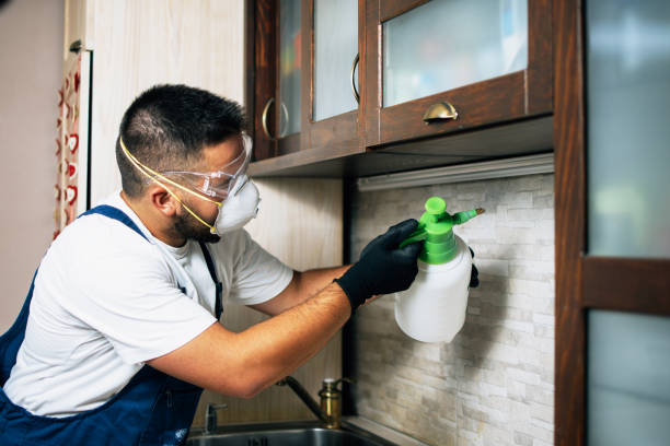 Best Pest Control Near Me in Enterprise, UT
