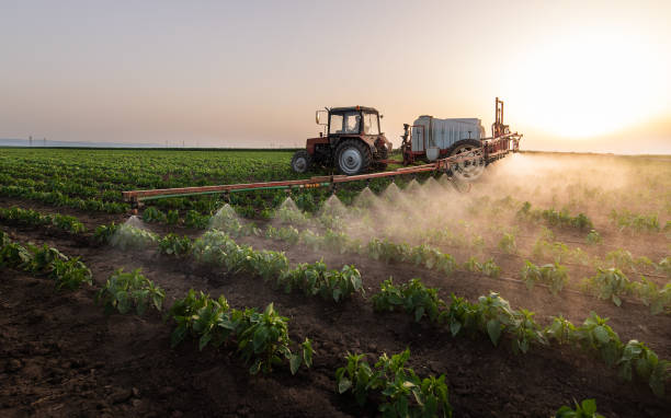 Best Mosquito Control Services  in Enterprise, UT