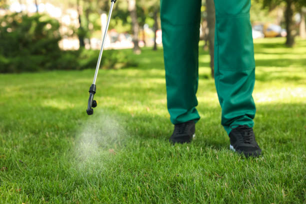 Best Local Pest Control Services  in Enterprise, UT