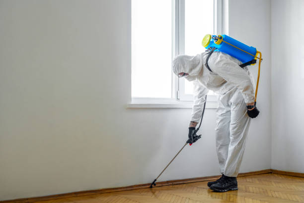 Best Pest Prevention Services  in Enterprise, UT