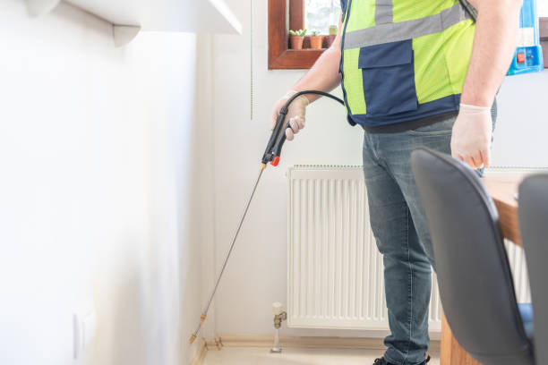 Wasp Removal Services in Enterprise, UT