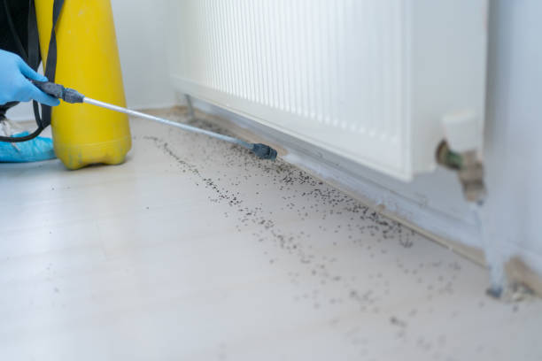 Trusted Enterprise, UT Pest Control Experts