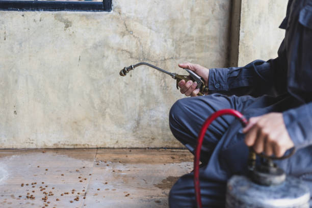 Best Local Pest Control Services  in Enterprise, UT