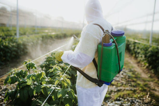 Best Affordable Pest Control Services  in Enterprise, UT